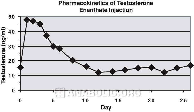 Тестостерон энантат для мужчин. Фармакокинетика сустанон 250. Тестостерон энантат период полураспада. Тренболон энантат график. Полураспад тестостерон энантат.